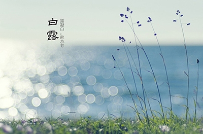 白露降，秋意濃